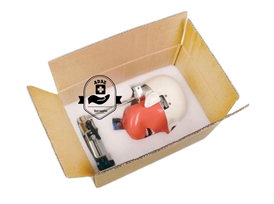 ADAE T1 dental manikin phantom head(Bench mount)