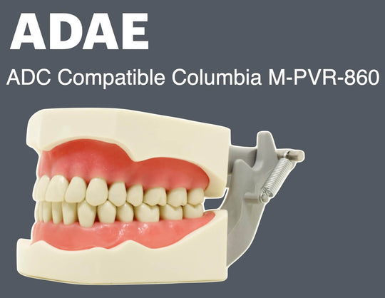 ADC Compatible Columbia M-PVR-860 dental magnetic jaws