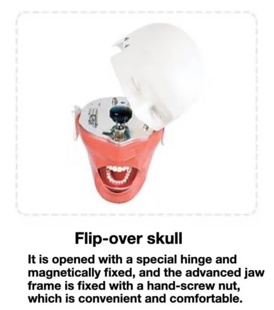 ADAE AD1 torso dental manikin phantom head(Bench mount)