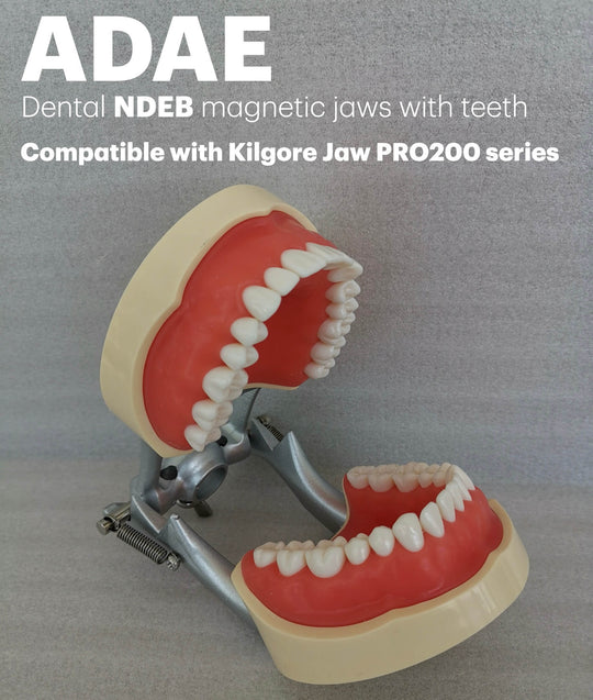 NDEB compatible kilgore jaw PRO200 series dental magnetic jaws