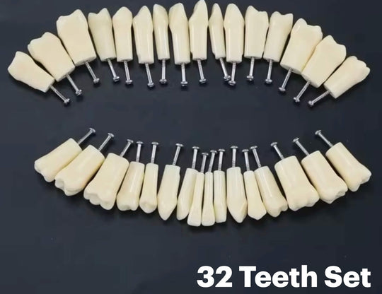 NDEB compatible kilgore jaw PRO200 series dental magnetic jaws