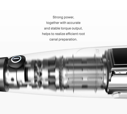 Woodpecker Ai Endo motor and apex locator