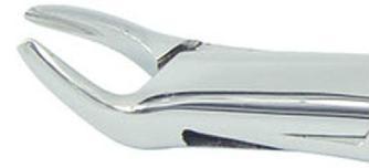 151# dental extraction forceps (2pcs) - ADAE Dental Online Store