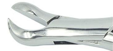 23# dental extraction forceps (2pcs) - ADAE Dental Online Store