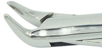 48# dental extraction forceps (2pcs) - ADAE Dental Online Store