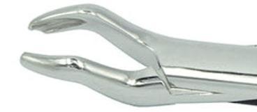 53L dental extraction forceps (2pcs) - ADAE Dental Online Store
