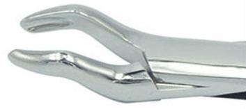 53R dental extraction forceps (2pcs) - ADAE Dental Online Store