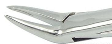 69# dental extraction forceps (2pcs) - ADAE Dental Online Store