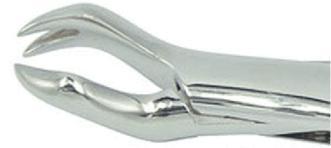 88L dental extraction forceps (2pcs) - ADAE Dental Online Store