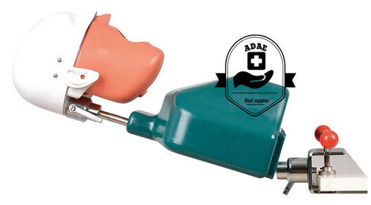 ADAE dental phantom head with magnetic jaws and teeth - ADAE Dental Online Store