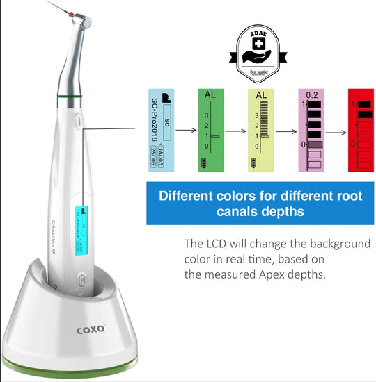 Coxo C-smart mini AP wireless endomotor with apex locator ( Upgraded version) - ADAE Dental Online Store