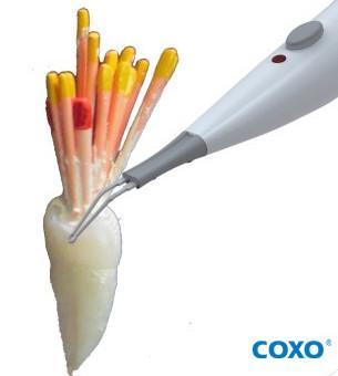 Coxo Gutta Percha C-blade cutter - ADAE Dental Online Store