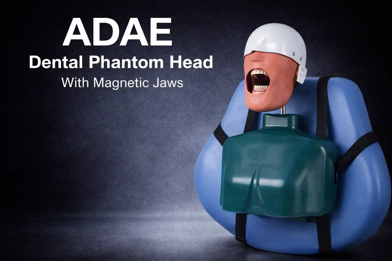 ADAE AD2 torso dental manikin phantom head (With straps)