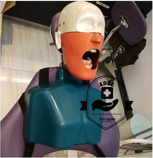 ADAE AD2 torso dental manikin phantom head (With straps)