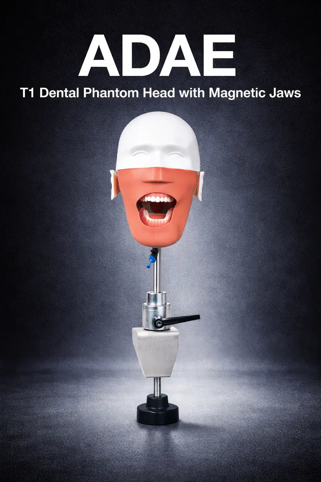 ADAE T1 dental manikin phantom head(Bench mount)