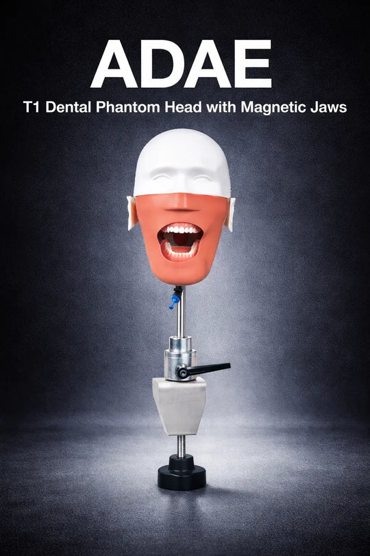ADAE T1 dental manikin phantom head(Bench mount)