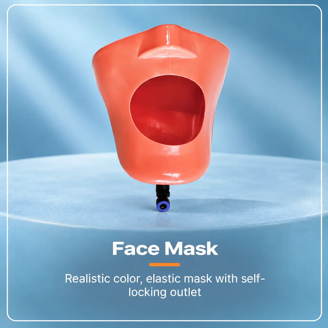 ADAE T1 dental manikin phantom head(Bench mount)