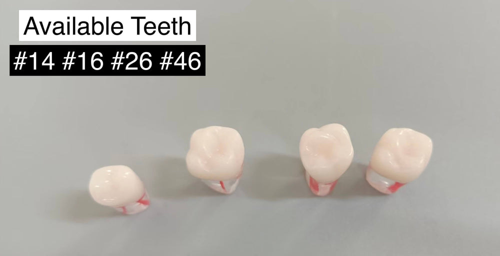 ADC Endo teeth with screws (Compatible with ADC Columbia M-PVR-860 magnetic jaws)