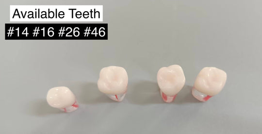 ADC Endo teeth with screws (Compatible with ADC Columbia M-PVR-860 magnetic jaws)