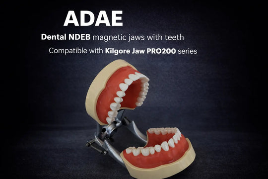 NDEB compatible kilgore jaw PRO200 series dental magnetic jaws