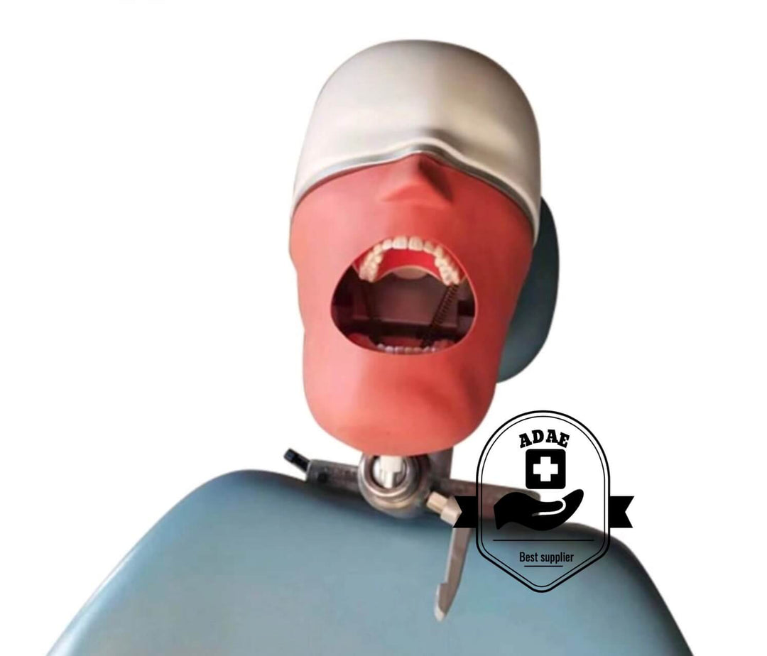 ADAE T2 Dental Phantom Head with Magnetic Jaws (Dental chair mount)