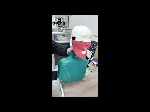 ADAE AD1 torso dental manikin phantom head(Bench mount)