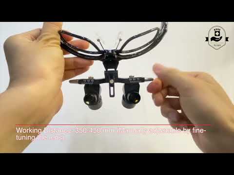 ADAE Pro 2 Ergo dental loupes