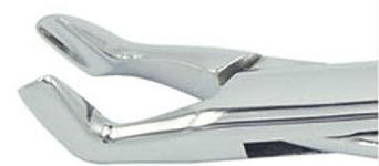 222# dental extraction forceps (2pcs) - ADAE Dental Online Store